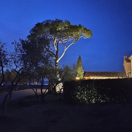 Podere Il Belvedere Su Cortona *